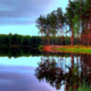 Meet your Posher, Avenelle